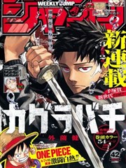 漫画免费在线阅读霜落长空封面